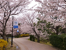 大阪府立大学羽曳野キャンパス